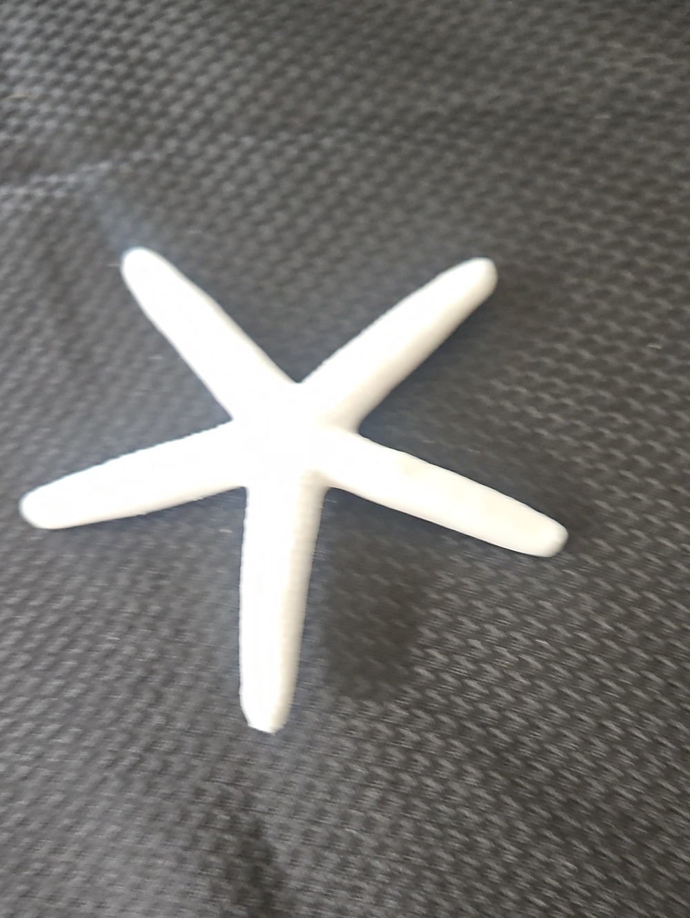 White Decorative Starfish Accent